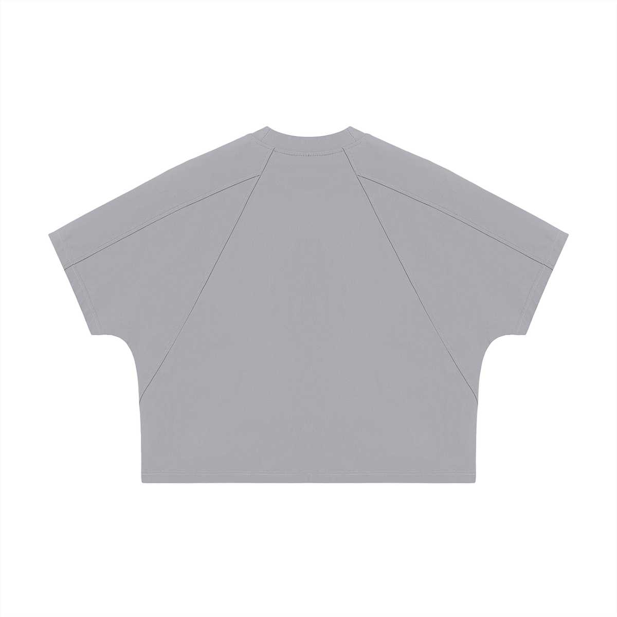 Unisex Boxy Tonal Paneling T-Shirt