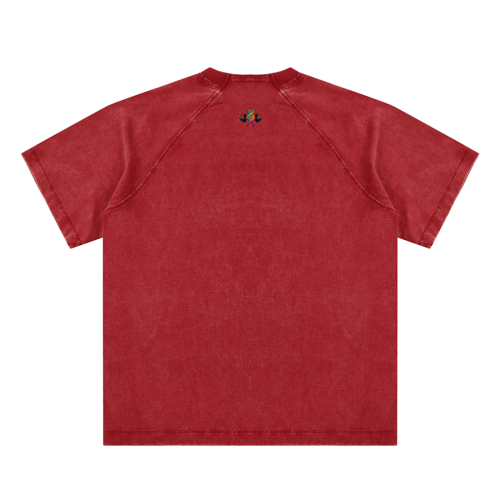IAFY - Vintage Washed Raglan Cotton T-Shirt