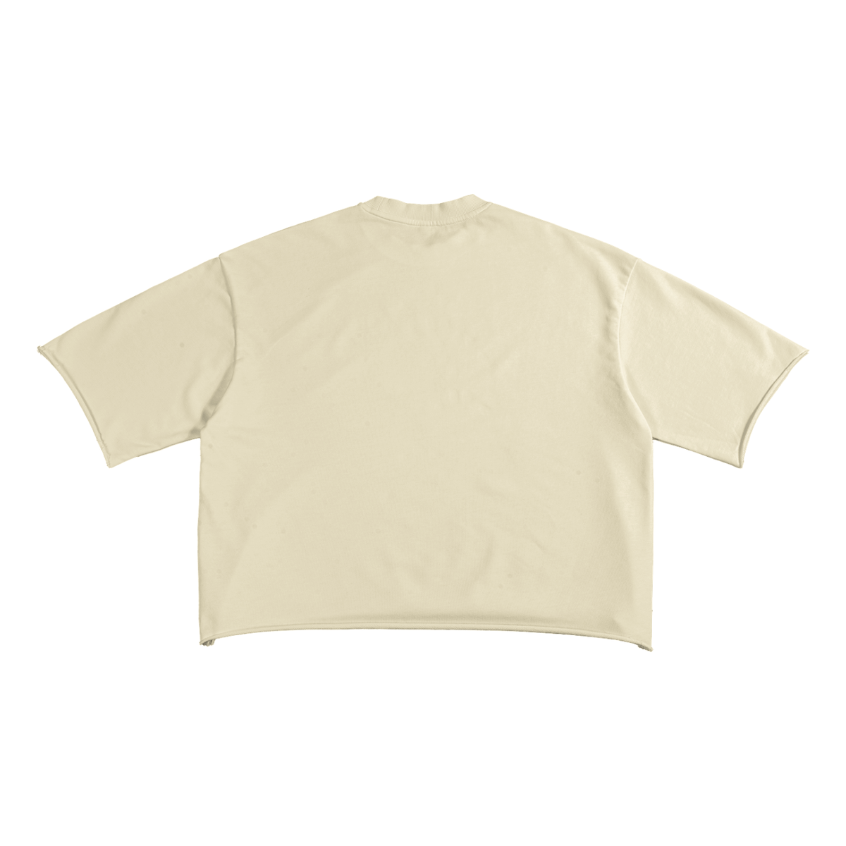 EPIGYMNETIX(EMBRO) - French Terry Raw Edge T-Shirt