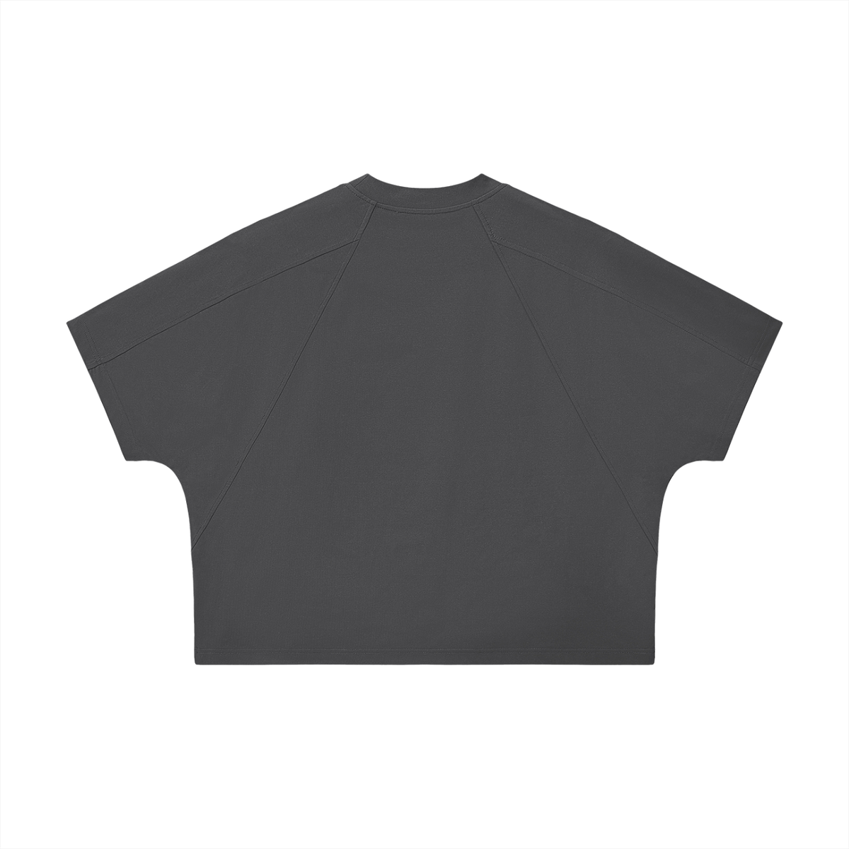 Unisex Boxy Tonal Paneling T-Shirt