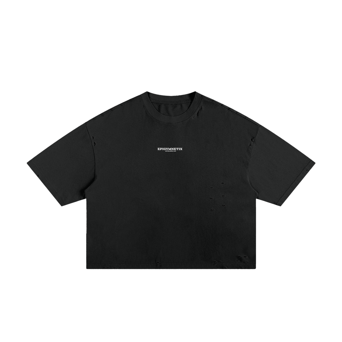 Epigymnetix Distressed - Classic Frayed Boxy Tee