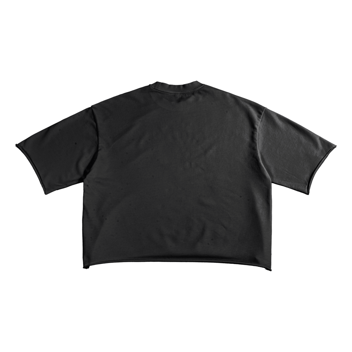 EPIGYMNETIX(EMBRO) - French Terry Raw Edge T-Shirt